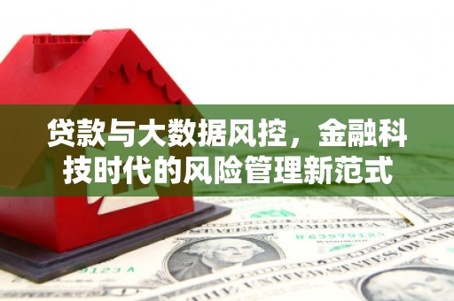 枋山贷款与大数据风控，金融科技时代的风险管理新范式