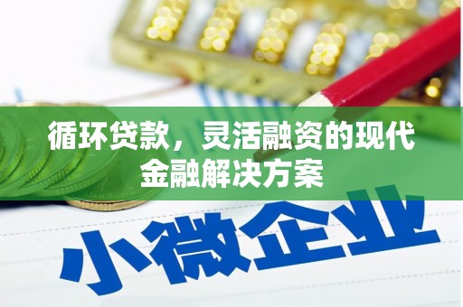 枋山循环贷款，灵活融资的现代金融解决方案