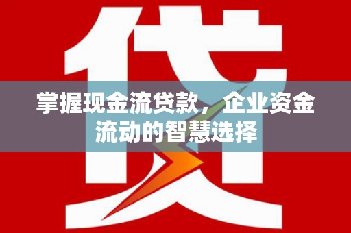 枋山掌握现金流贷款，企业资金流动的智慧选择