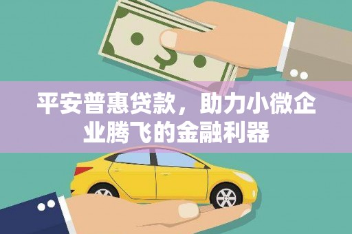 枋山平安普惠贷款，助力小微企业腾飞的金融利器