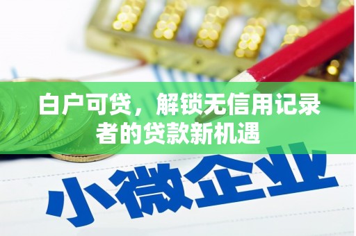 枋山白户可贷，解锁无信用记录者的贷款新机遇