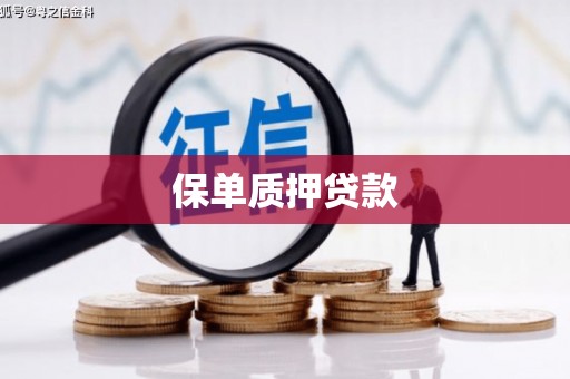 枋山保单质押贷款