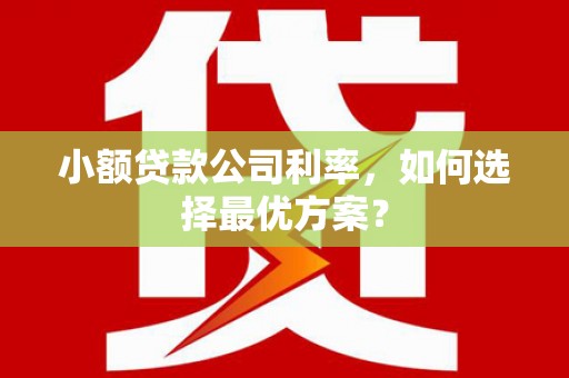 枋山小额贷款公司利率，如何选择最优方案？
