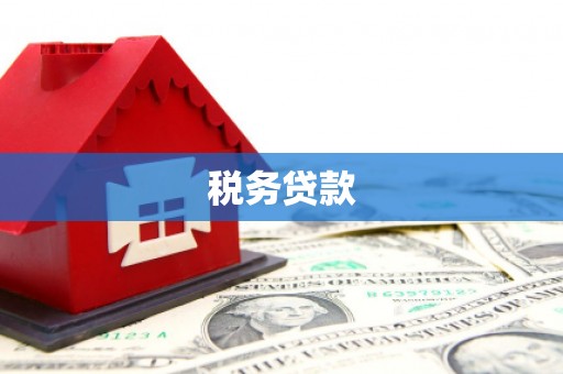 枋山税务贷款