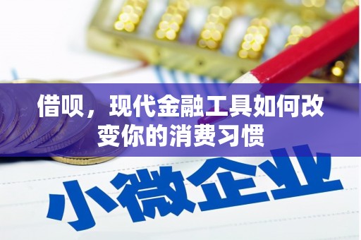 枋山借呗，现代金融工具如何改变你的消费习惯