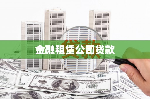 枋山金融租赁公司贷款