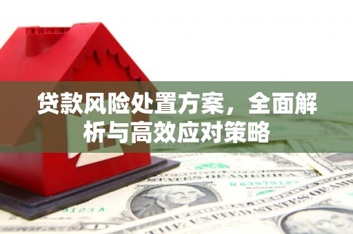 枋山贷款风险处置方案，全面解析与高效应对策略