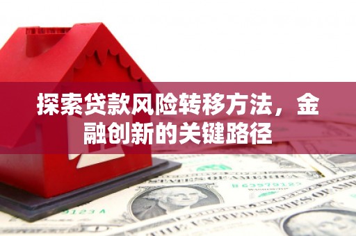 枋山探索贷款风险转移方法，金融创新的关键路径