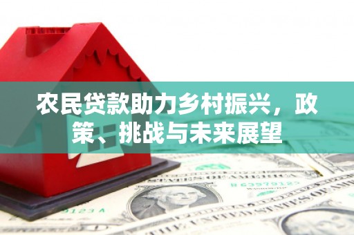 枋山农民贷款助力乡村振兴，政策、挑战与未来展望