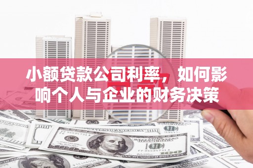 枋山小额贷款公司利率，如何影响个人与企业的财务决策