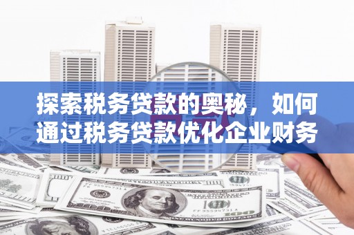 枋山探索税务贷款的奥秘，如何通过税务贷款优化企业财务