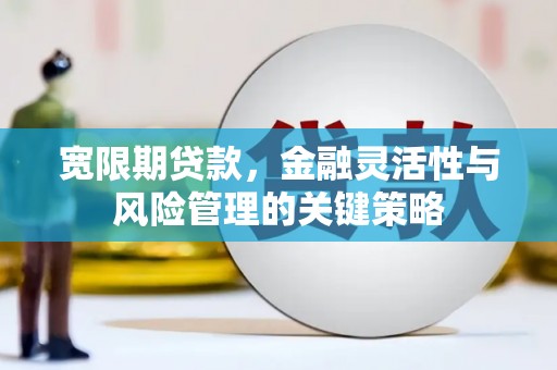 枋山宽限期贷款，金融灵活性与风险管理的关键策略