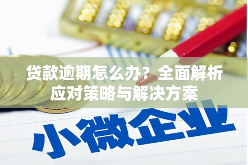 枋山贷款逾期怎么办？全面解析应对策略与解决方案