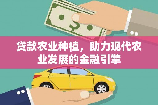 枋山贷款农业种植，助力现代农业发展的金融引擎