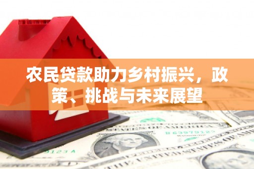 枋山农民贷款助力乡村振兴，政策、挑战与未来展望