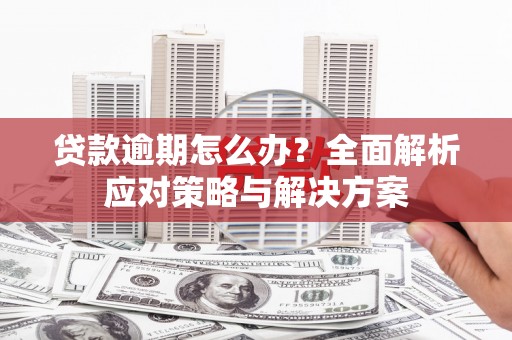 枋山贷款逾期怎么办？全面解析应对策略与解决方案