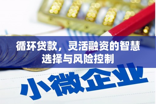 枋山循环贷款，灵活融资的智慧选择与风险控制