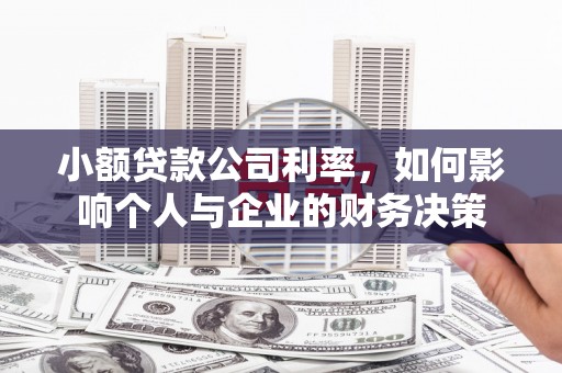 枋山小额贷款公司利率，如何影响个人与企业的财务决策