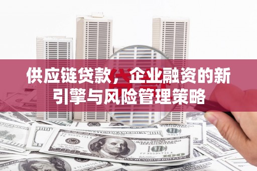 枋山供应链贷款，企业融资的新引擎与风险管理策略