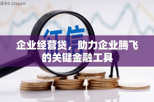 枋山企业经营贷，助力企业腾飞的关键金融工具