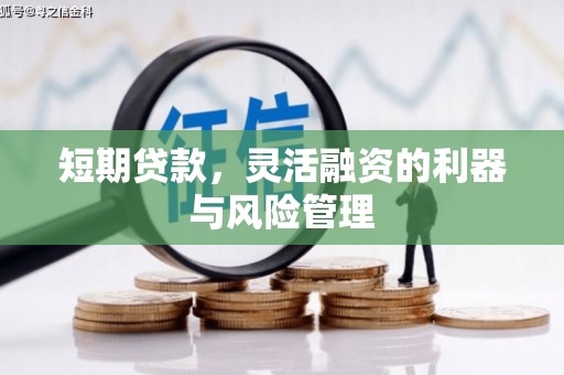 枋山短期贷款，灵活融资的利器与风险管理