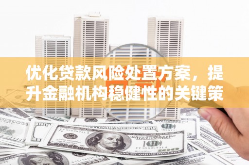 枋山优化贷款风险处置方案，提升金融机构稳健性的关键策略
