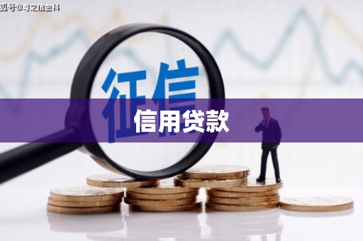 枋山信用贷款
