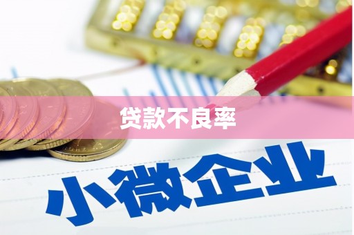 枋山贷款不良率