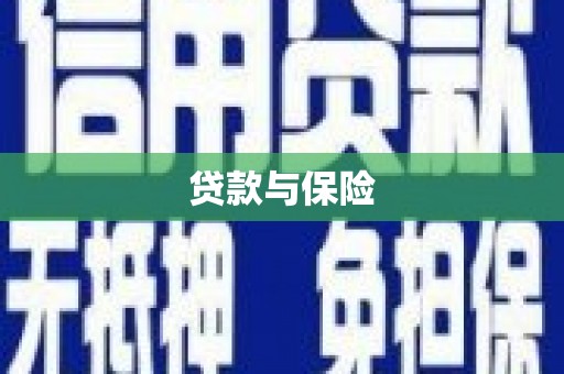 枋山贷款与保险