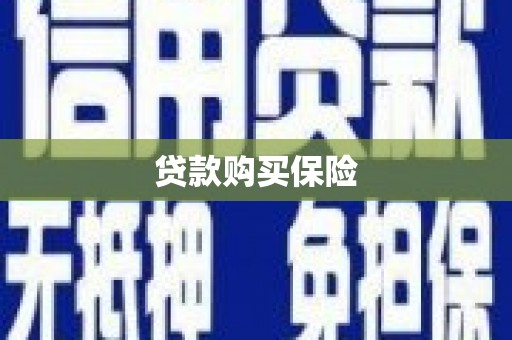 枋山贷款购买保险