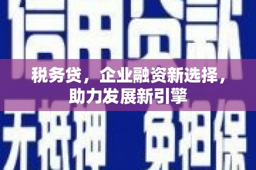 枋山税务贷，企业融资新选择，助力发展新引擎