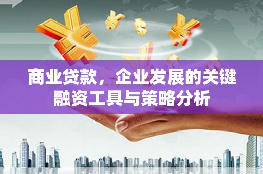 枋山商业贷款，企业发展的关键融资工具与策略分析