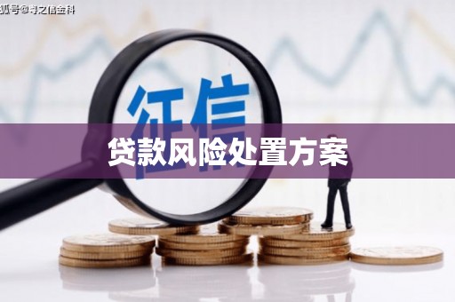 枋山贷款风险处置方案