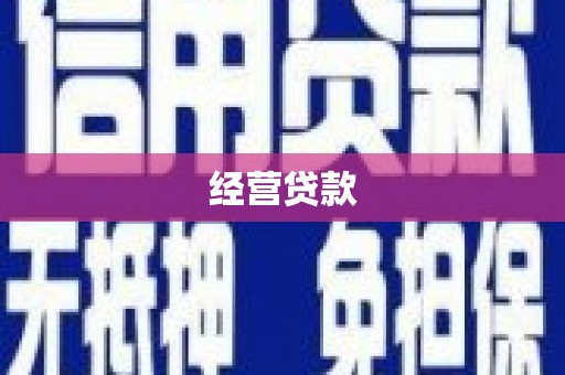 枋山经营贷款