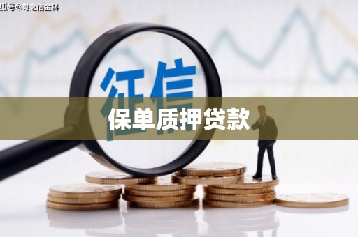 枋山保单质押贷款