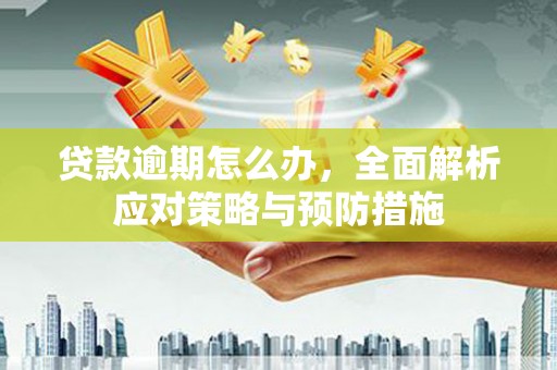 枋山贷款逾期怎么办，全面解析应对策略与预防措施