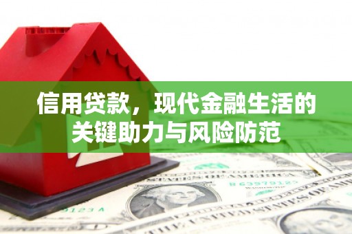枋山信用贷款，现代金融生活的关键助力与风险防范