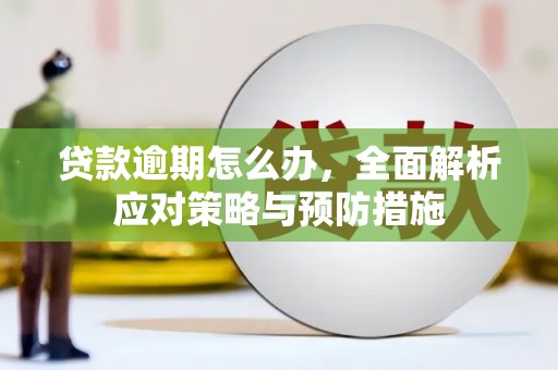 枋山贷款逾期怎么办，全面解析应对策略与预防措施