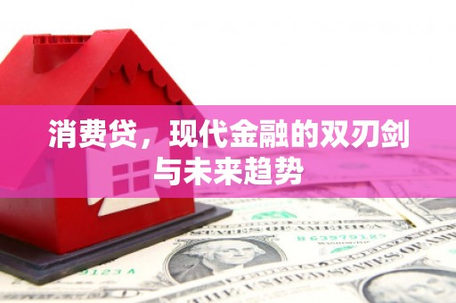 枋山消费贷，现代金融的双刃剑与未来趋势