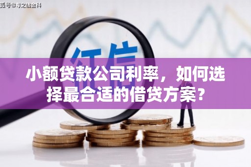 枋山小额贷款公司利率，如何选择最合适的借贷方案？