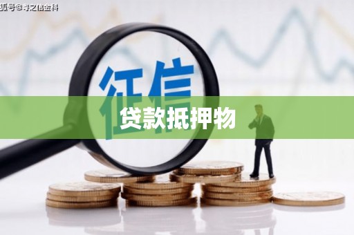枋山贷款抵押物