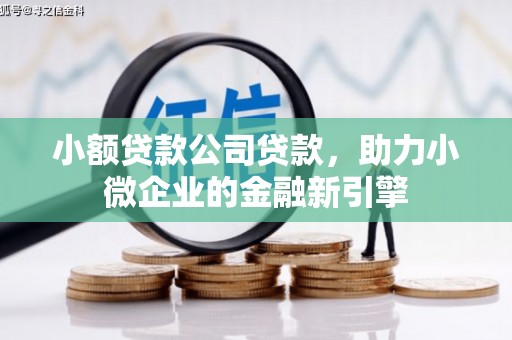 枋山小额贷款公司贷款，助力小微企业的金融新引擎