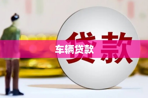 枋山车辆贷款