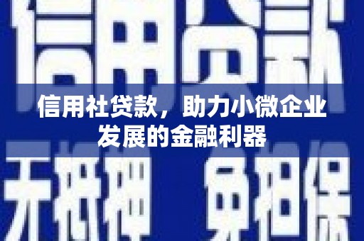 枋山信用社贷款，助力小微企业发展的金融利器
