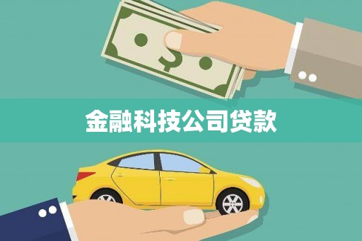 枋山金融科技公司贷款
