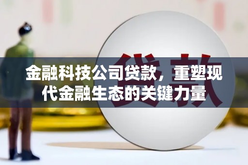 枋山金融科技公司贷款，重塑现代金融生态的关键力量