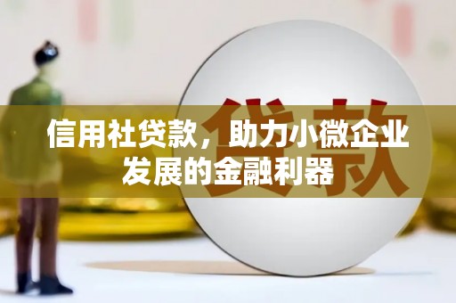 枋山信用社贷款，助力小微企业发展的金融利器