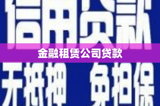 枋山金融租赁公司贷款