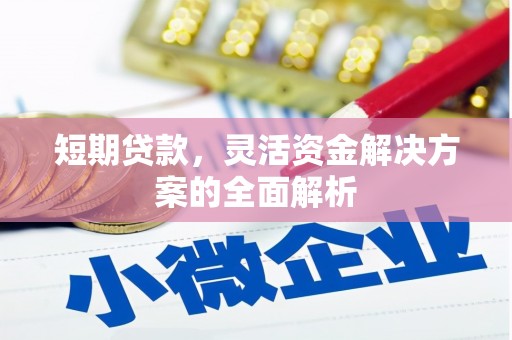 枋山短期贷款，灵活资金解决方案的全面解析