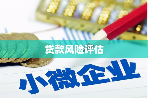 枋山贷款风险评估